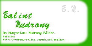 balint mudrony business card