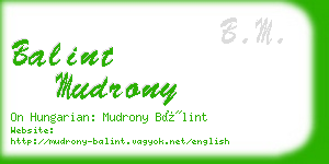 balint mudrony business card